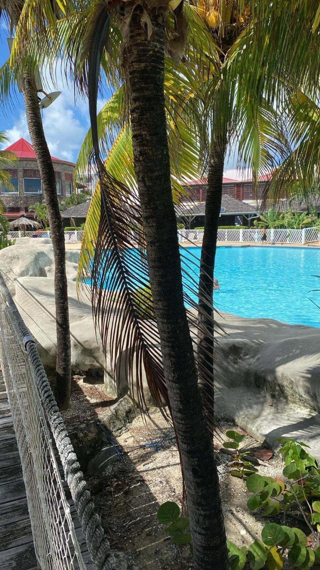Studio Bord De Mer Avec Piscine - Le Manganao, Saint-Francois Bagian luar foto
